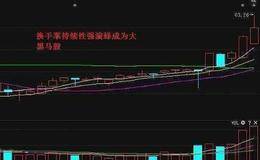 请问换手率超过30%说明什么？