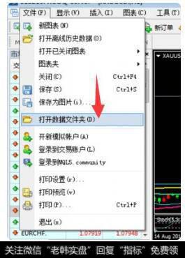 打开mt4上的文件里的 数据文件夹