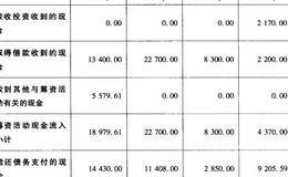 承德露露与深深宝A筹资活动的现金流量情况