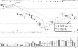 企业价值衡量和评估解析