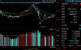 李正金最新股评：精准支撑反弹 只需增量