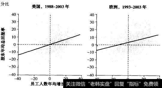 股东总回报率和员工人数增长之间的相关性