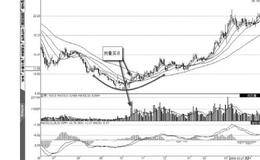 寻找大圆底买点的案例解读