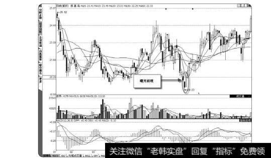 图2-54<a href='/xinguwd/241833.html'>报喜鸟</a>的曙光初现