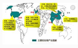 生物医药题材概念龙头股 生物医药题材概念股 生物医药题材概念股一览