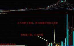 股票日换手率高说明什么?