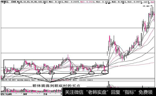 图6-15  啤酒花