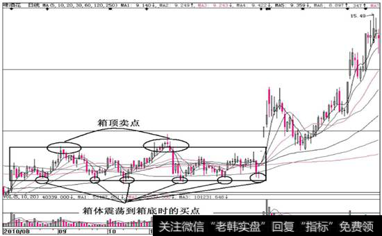 图9-17  啤酒花