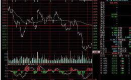 同花顺软件中分时量的白线是什么意思？