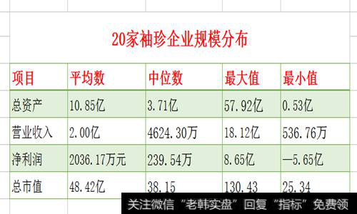 20家袖珍企业规模分布