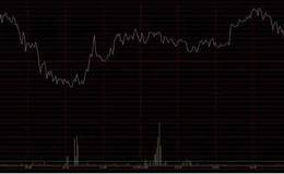 量比10%，<em>换手率5%</em>，股价大跌8%怎么办