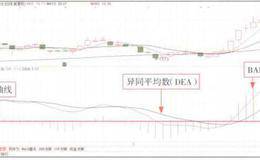 损益表三大要素以及企业分类解析