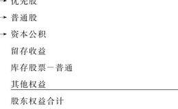 什么是优先股、普通股和资本公积