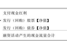 股票回购以及增加股东财富的免税途径分析