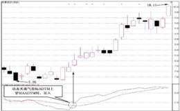 什么是ADTM动态买卖气指标？