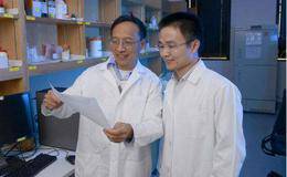 中国科学家发现肿瘤治疗新工具,抗癌题材概念股可关注