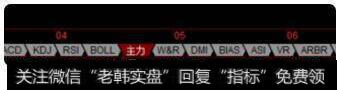 主力