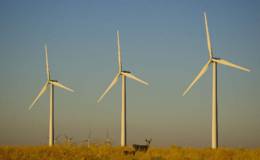 湖北咸宁：亿元投资建设风电场促环境保护