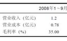 美锦能源2008年报欲盖弥彰