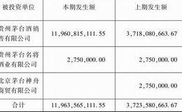 投资收益明细报表以及净利润产生过程分析