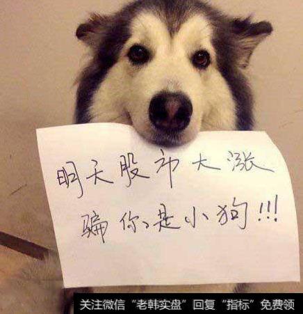 明天大盘会如何走?