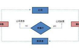 非权益要求权:可转换债券