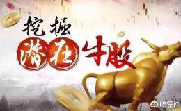 你们是怎么选股的呢？