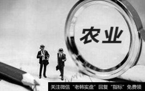 为什么农业股市盈率低反而没人要?