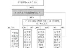 上市主体不清对各大药业公司影响的案例分析