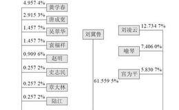 鼎泰新材股权结构图及其财务危机案例解析
