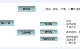 知识产权概念龙头股 知识产权概念股 知识产权概念股一览