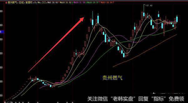 所谓的龙头股一般是什么样的股票，怎样能抓到这样的龙头股？