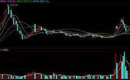 大盘暴跌之际，创业板为何揭竿而起？