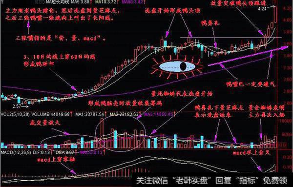 散户最喜欢的老鸭头选股战法，学会了真的会选股牛股吗？