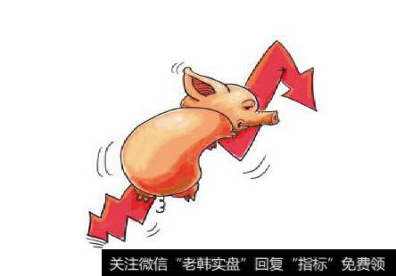 小散怎样选择合适的卖猪体重?