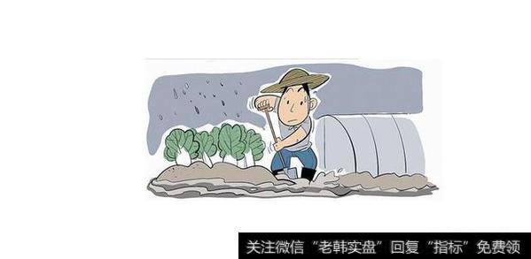 股票其实是养大的，作为一个小散，如何去把手里的股票养大呢？