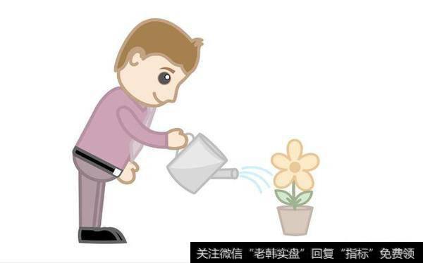 股票其实是养大的，作为一个小散，如何去把手里的股票养大呢？