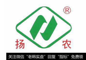 扬农化工基本面怎么样?