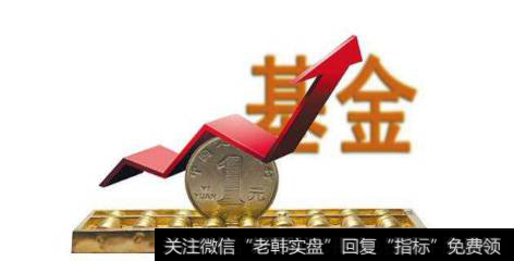 如果某只股票暴涨,买入该股票的股票型基金也会暴涨吗?