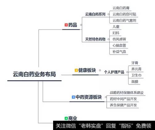 云南白药的业务布局