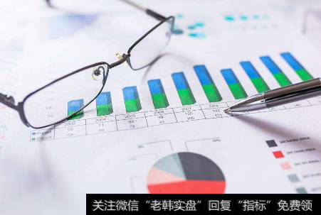 一只股票的财务报表主要看那些数据？