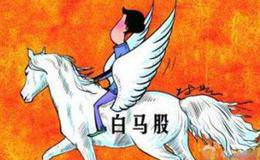 杨德龙股市最新消息：部分优质白马股已具备抄底价值