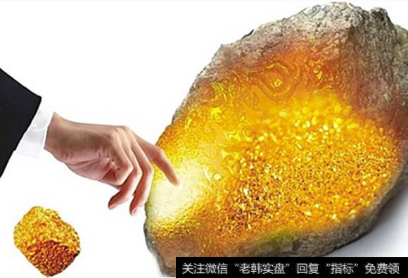 每日金股