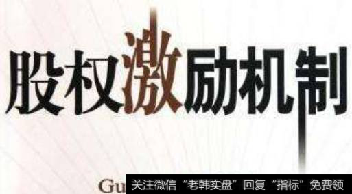 上海首家实行事业部制和股权激励的基金公司是哪家？