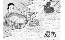 什么是股票回购？