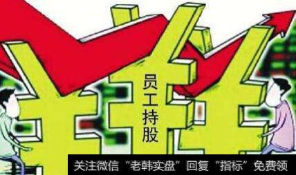 公司为激励员工设立子公司并由员工参股，员工离职母公司可以回购股份吗？