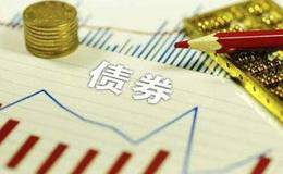 什么是<em>债券质押式回购</em>？