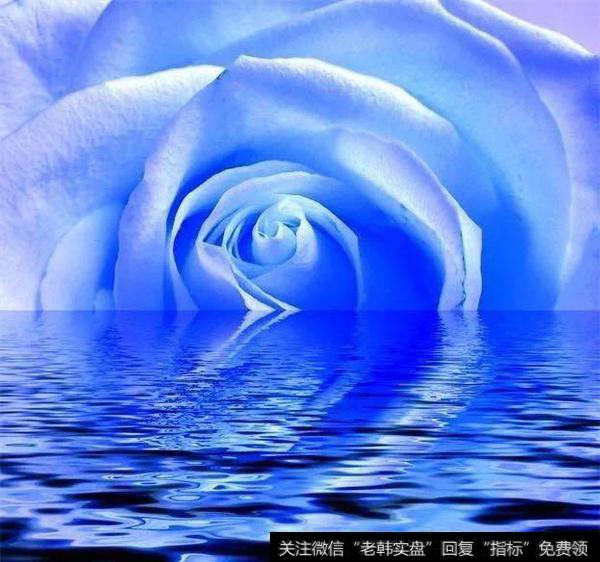 最近证券基金怎么样?