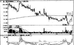 一只股票+两波行情+四次买卖=年收益100%—深达声(0007）