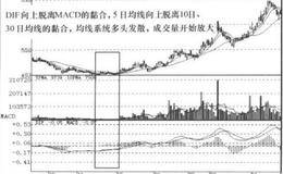 MACD+MA+VOL指标发散信号组合